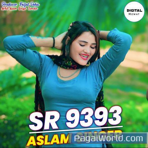 SR 9393 Aslam Singer SR 9393 Aslam Singer Poster