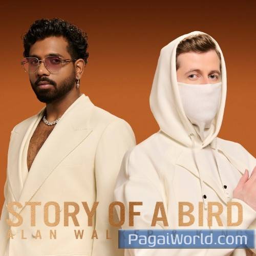 Story Of A Bird Poster