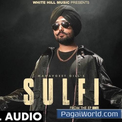Sulfi Sulfi Poster