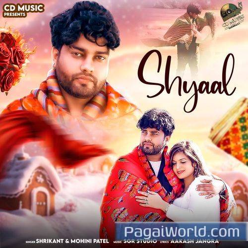 Syaal Syaal Poster