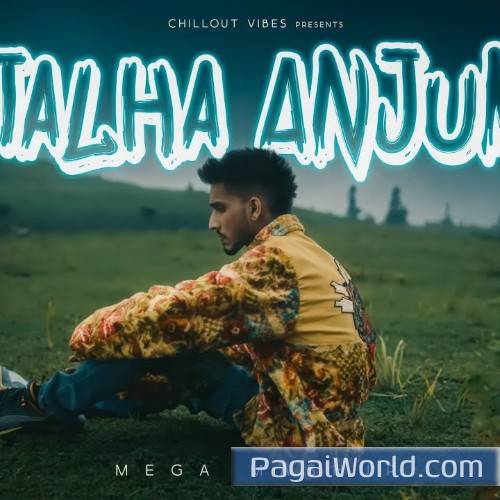Talha Anjum Mega Mashup Talha Anjum Mega Mashup Poster