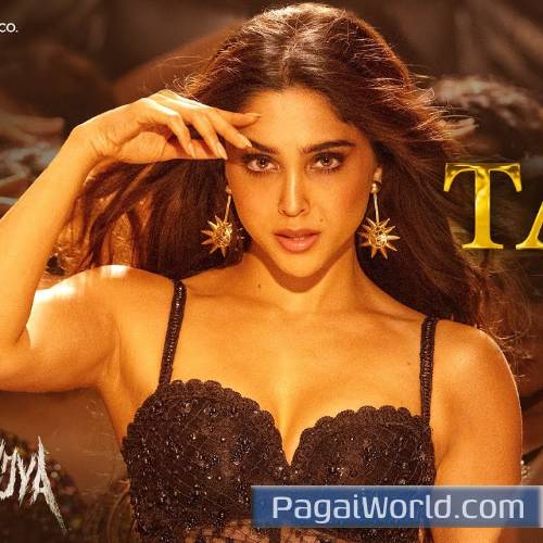 Taras Munjya Sharvari Abhay Verma Sachinjigar Poster