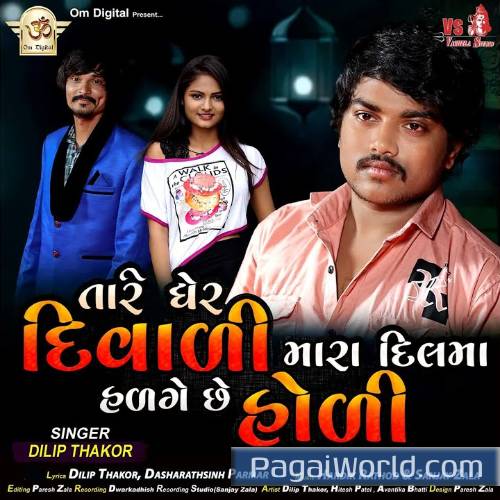 Tare Gher Diwali Mara Dil Ma Tare Gher Diwali Mara Dil Ma Poster
