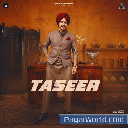 Taseer Taseer Poster