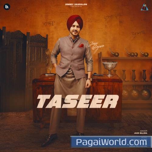 Taseer Poster