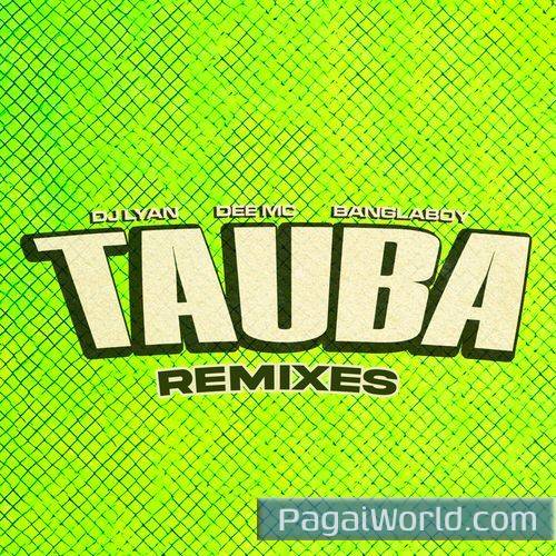 Tauba VIZANO Remix Poster