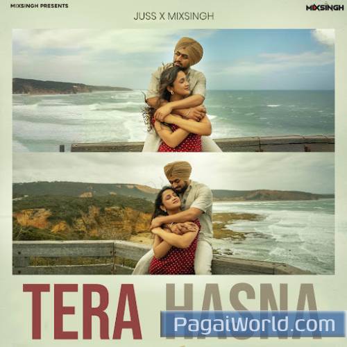Tera Hasna Poster