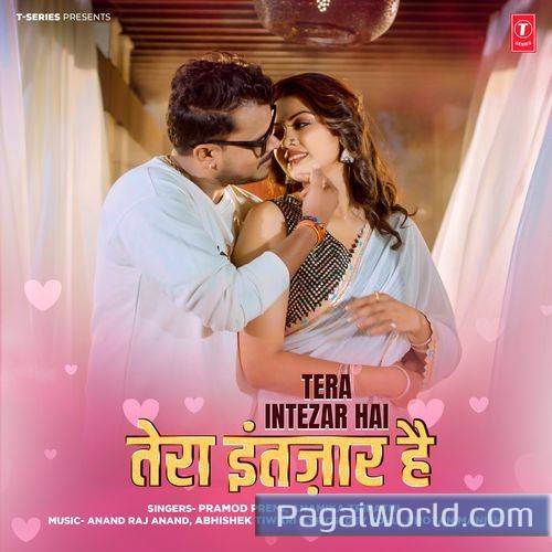 Tera Intezar Hai Tera Intezar Hai Poster