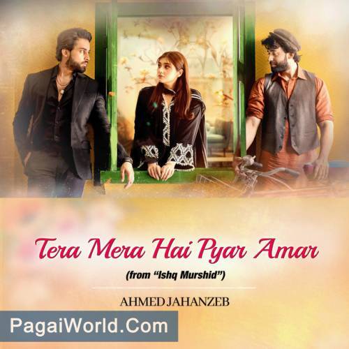Tera Mera Hai Pyar Amar Poster