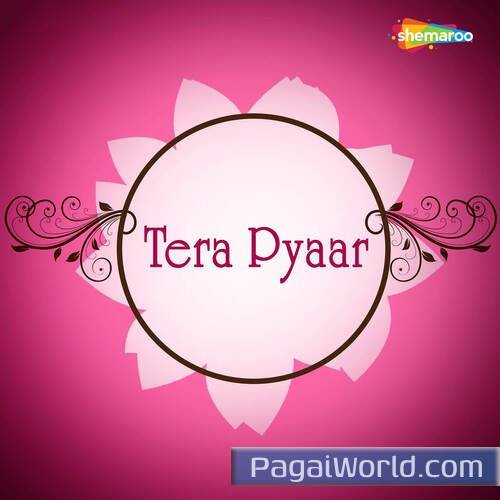 Tera Pyaar Tera Pyaar Poster