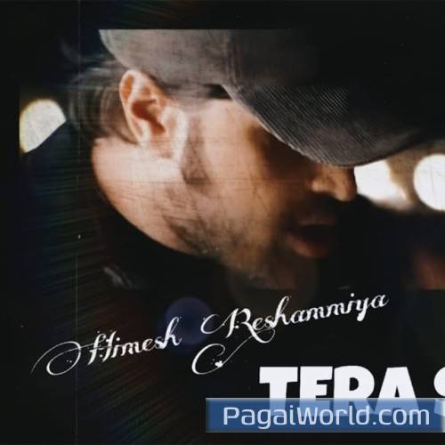 Tera Surroor 2000s Type Remix Tera Surroor 2000s Type Remix Poster