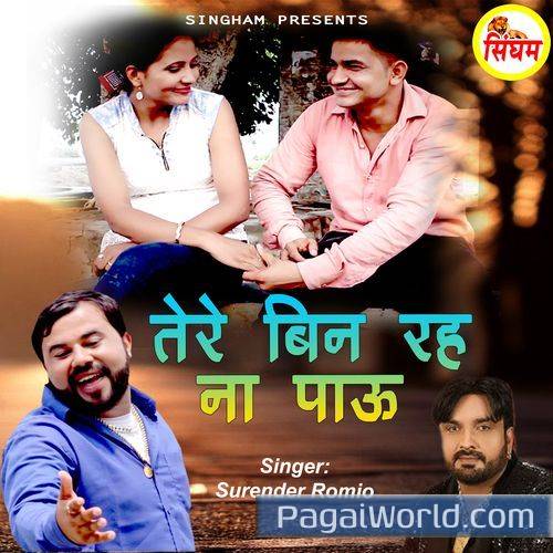 Tere Bin Reh Na Paau Tere Bin Reh Na Paau Poster