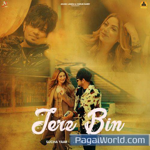 Tere Bin Tere Bin Poster