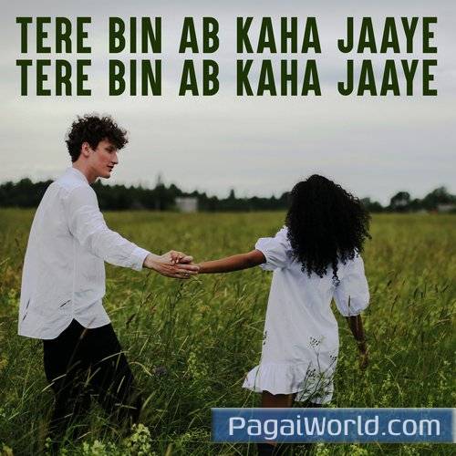 Tere Bina Main Kuch Bhi Nahin Tere Bina Main Kuch Bhi Nahin Poster