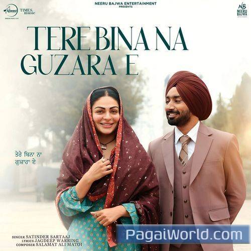 Tere Bina Na Guzara E Poster