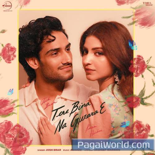 Tere Bina Na Guzara E Poster