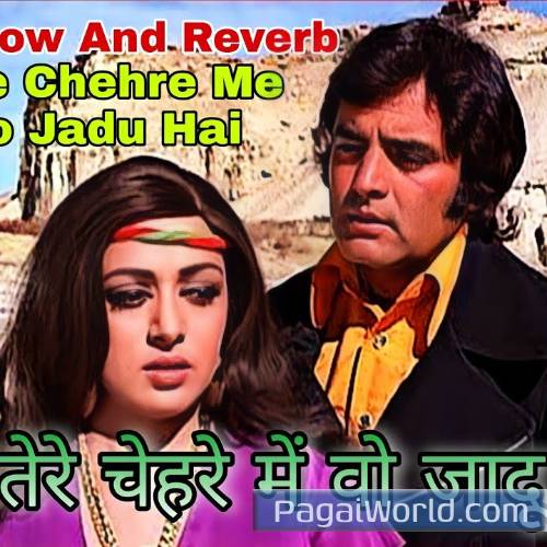 Tere Chehare Main O Jadu Hai Mix Poster