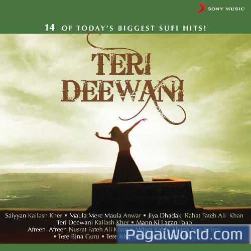 Tere Ishq Mein Tere Ishq Mein Poster