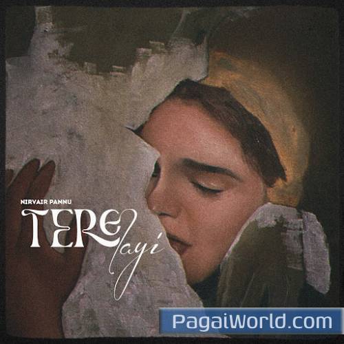 Tere Layi Tere Layi Poster