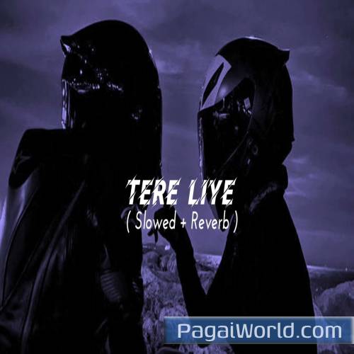 Tere Liye By Atif Aslam Poster