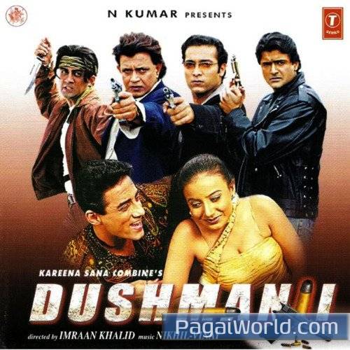 Teri Aashiqui Mein Dil Teri Aashiqui Mein Dil Poster