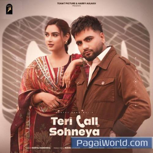 TERI CALL SOHNEYA TERI CALL SOHNEYA Poster