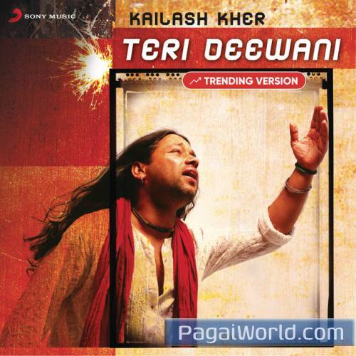 Teri Deewani Teri Deewani Poster