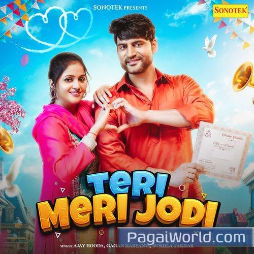 Teri Meri Jodi Teri Meri Jodi Poster