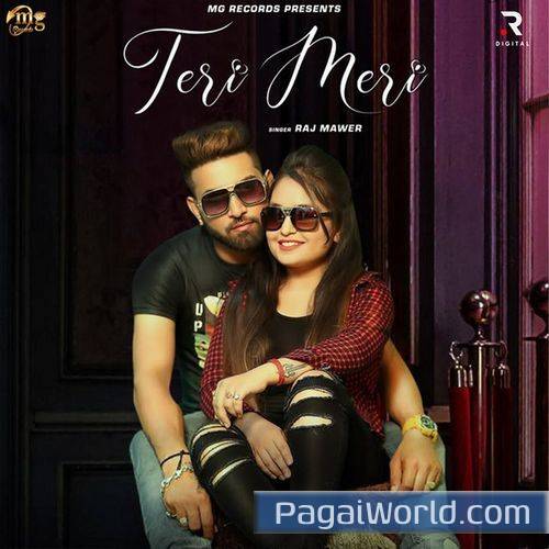 Teri Meri Teri Meri Poster