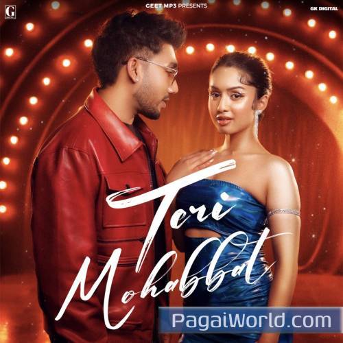 Teri Mohabbat Poster