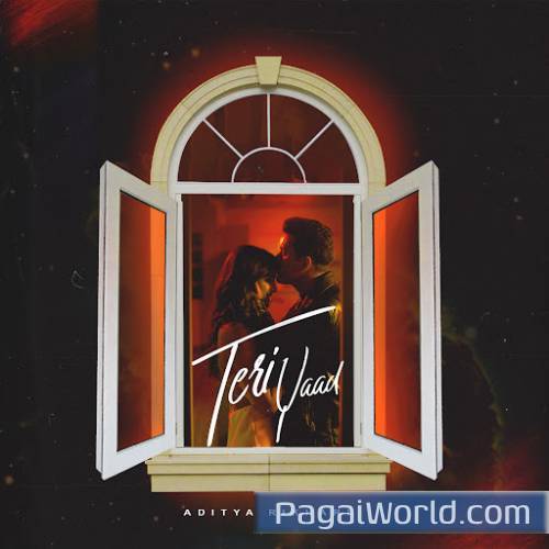 Teri Yaad Teri Yaad Poster