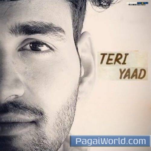 Teri Yaad Teri Yaad Poster