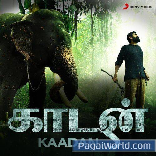 Thaalaattu Paadum Thaalaattu Paadum Poster