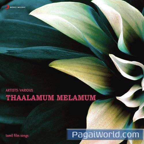Thamarai Poovukkum From Pasumpon Poster