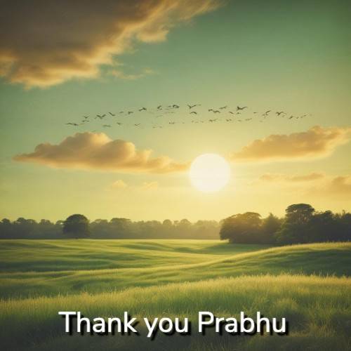 Thank you Prabhu Thank you Prabhu Poster