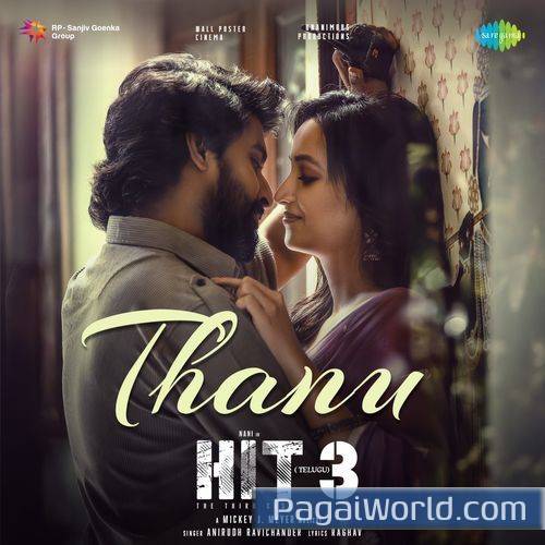 Thanu From Hit 3 Telugu Thanu From Hit 3 Telugu Poster