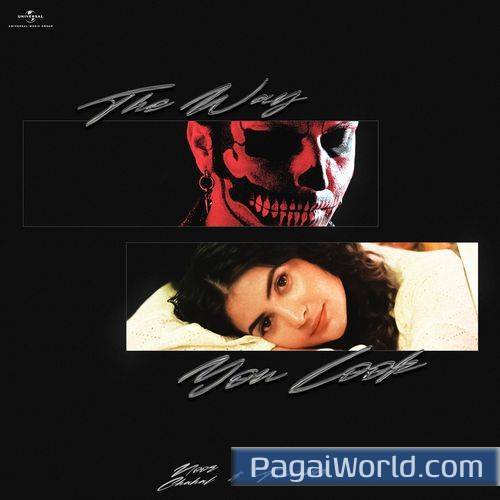 The Way You Look Poster