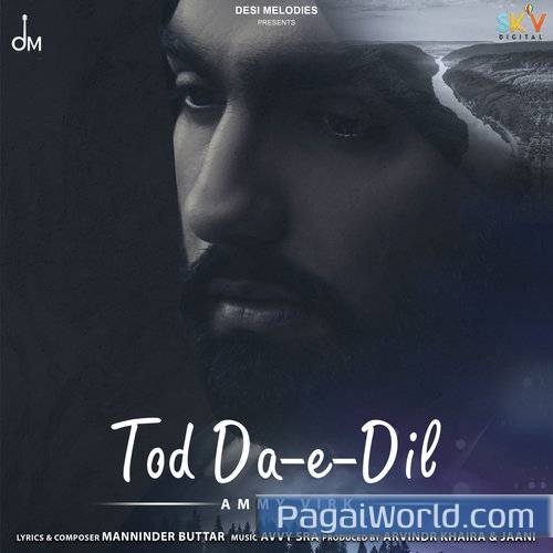 Tod Da e Dil Poster