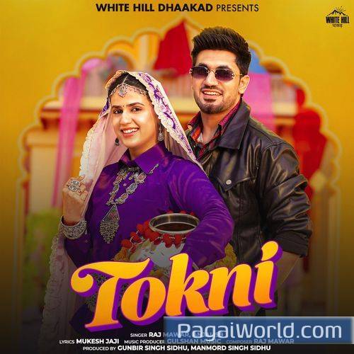 Tokni Tokni Poster