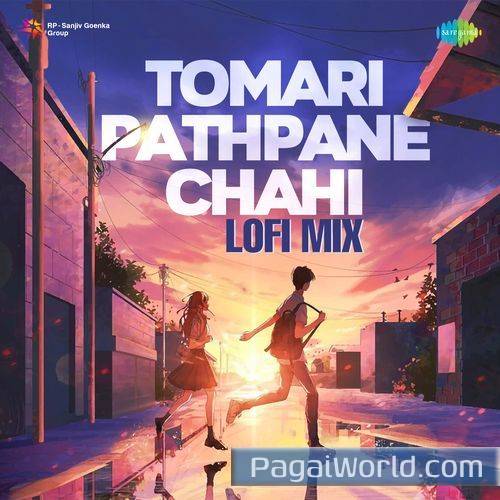 Tomari Pathpane Chahi Lofi Mix Tomari Pathpane Chahi Lofi Mix Poster