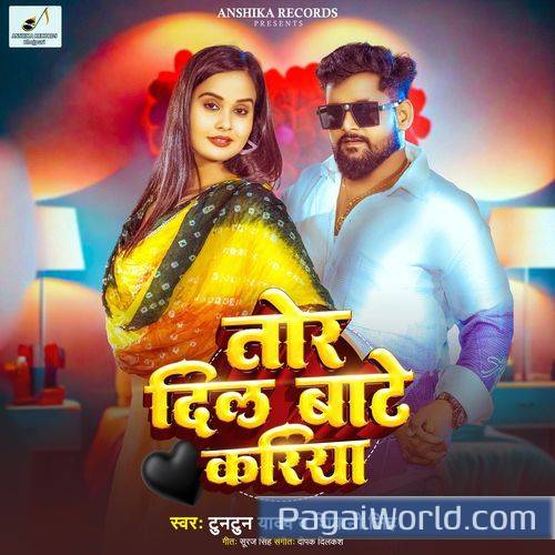 Tor Dil Bate Kariya Tor Dil Bate Kariya Poster