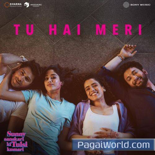 Tu Hai Meri Poster