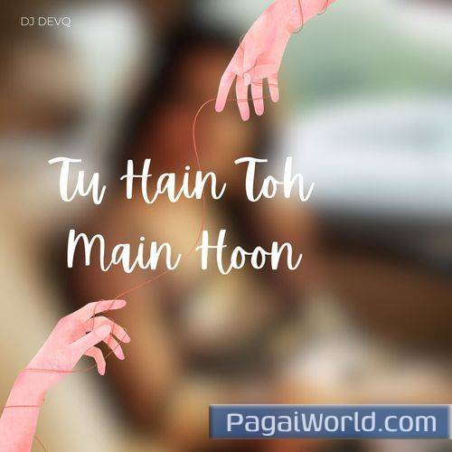 Tu Hain Toh Main Hoon Remix Poster