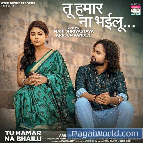 Tu Hamar Na Bhailu Tu Hamar Na Bhailu Poster
