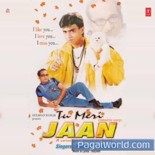 Tu Hi Mera Pyar Hai Poster
