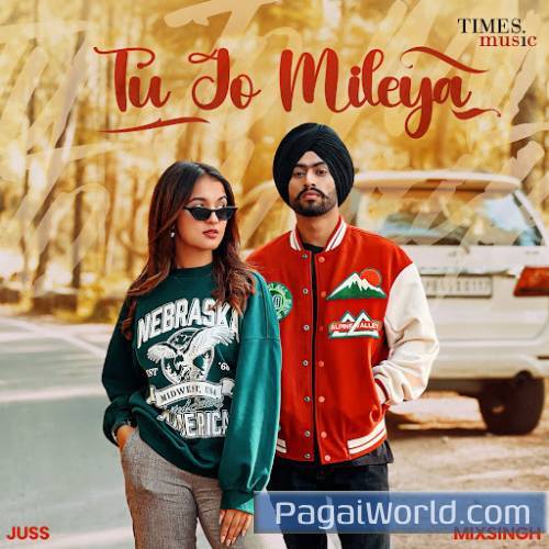 Tu Jo Mileya Tu Jo Mileya Poster