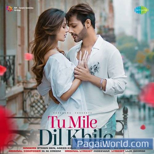 Tu Mile Dil Khile Tu Mile Dil Khile Poster
