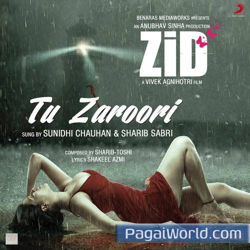 Tu Zaroori Tu Zaroori Poster