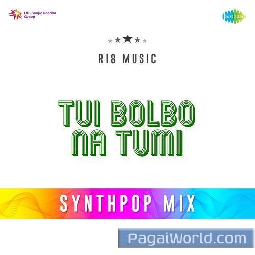 Tui Bolbo Na Tumi   Synthpop Mix Poster