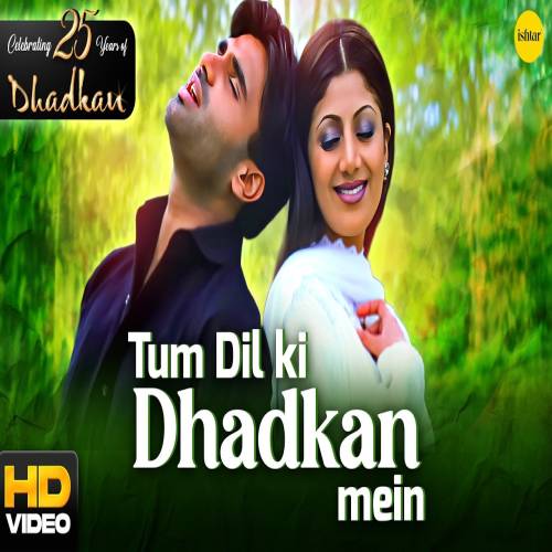 Tum Dil Ki Dhadkan Mein Hd Poster